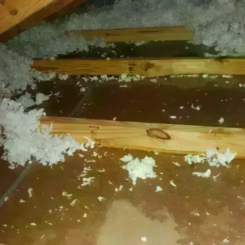 Attic Water Damage in Bedminster, NJ